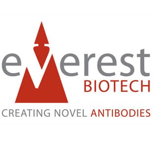 Custom antibody for $300