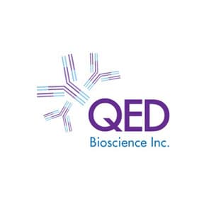 Elastase Antibody avatar