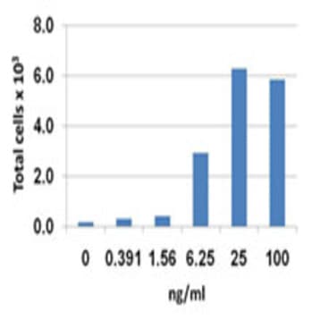 Recombinant Mouse CCL20 (MIP-3alpha) (carrier-free)