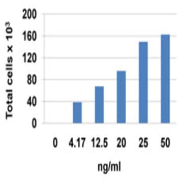 Recombinant Human CCL20 (MIP-3alpha) (carrier-free)
