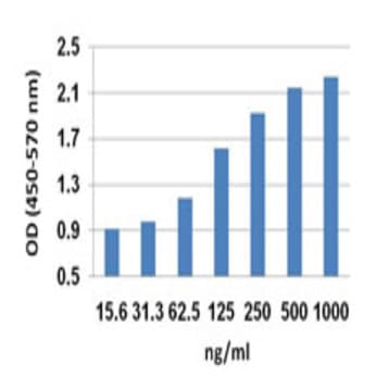 Recombinant Mouse IL-25 (IL-17E) (insect expressed, carrier-free)