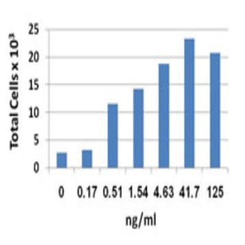 Recombinant Mouse CCL19 (MIP-3beta) (carrier-free)