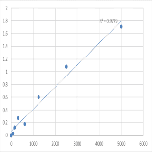 Mouse Lysyl oxidase homolog 1 (LOXL1) ELISA Kit
