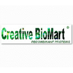 Creative BioMart Updated Its PEGylation Services Recently