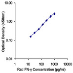 Biotin anti-rat IFN-gamma