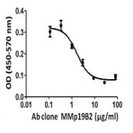 LEAF(TM) Purified anti-mouse IL-23 (p19)