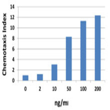 Recombinant Mouse CXCL5 (LIX) (carrier-free)