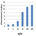 Recombinant Mouse CXCL5 (LIX) (carrier-free)