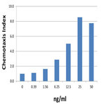 Recombinant Human CXCL1 (GRO-alpha) (carrier-free)