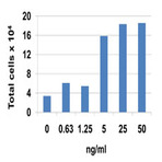 Recombinant Human CXCL3 (GRO-gamma) (carrier-free)