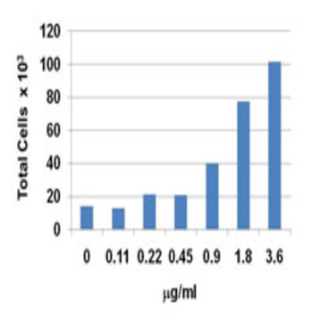 Recombinant Human CXCL12 (SDF-1beta) (carrier-free)