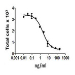 Recombinant Human FASL (TNFSF6) (carrier-free)