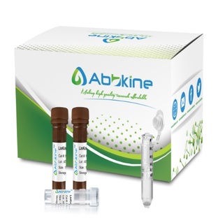 LinKine™ Biotin-XX Labeling Kit
