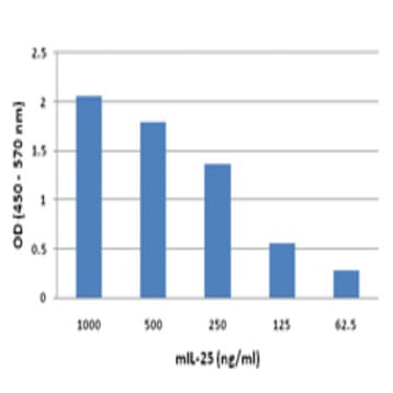 Recombinant mouse IL-25 (IL-17E) (carrier free) avatar