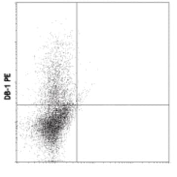 PE anti-rat IFN-gamma avatar