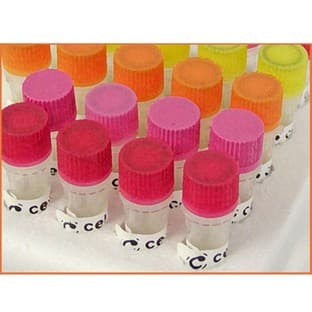 Recombinant Proteins