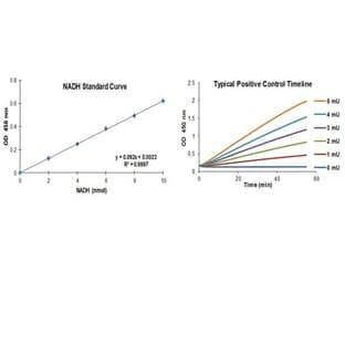 Aldehyde Dehydrogenase Activity Colorimetric Assay Kit