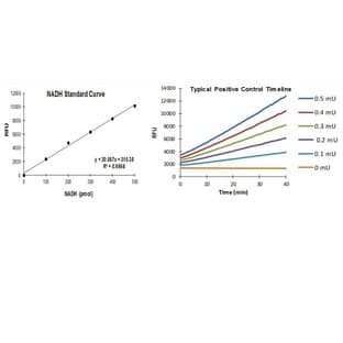 PicoProbe Aldehyde Dehydrogenase Activity Assay Kit
