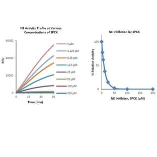 Neutrophil Elastase Inhibitor Screening Kit avatar