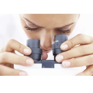 BSA-free Antibodies for Immuno Assay avatar