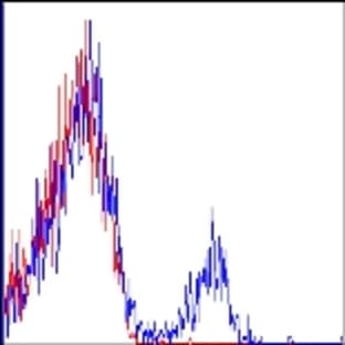 APC/Cy7 anti-human CD19 avatar