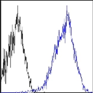 APC/Cy7 anti-human CD10 avatar