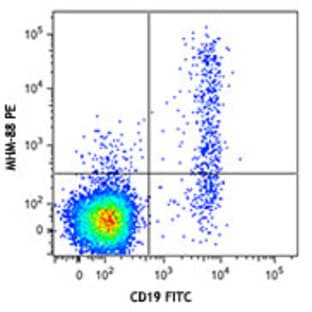 PE anti-human IgM avatar
