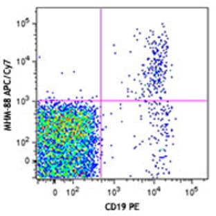 APC/Cy7 anti-human IgM