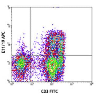 APC anti-human CD195 (CCR5) Phospho (Ser349) avatar