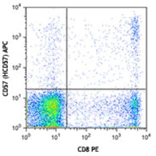 APC anti-human CD57 avatar