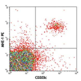 PE anti-human IgE avatar