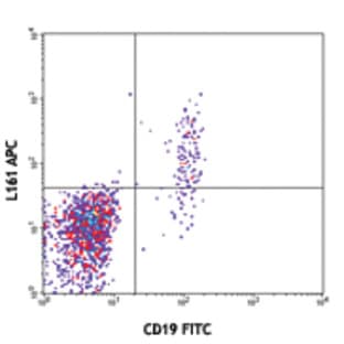 APC anti-human CD1c avatar