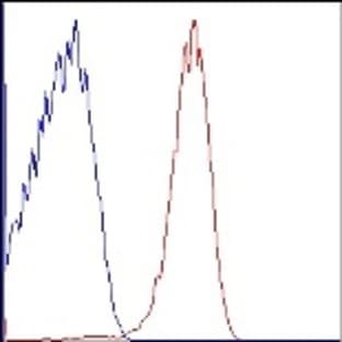 APC/Cy7 anti-human CD36 avatar