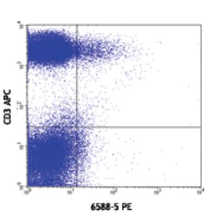 PE anti-human CCR10 avatar