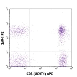 PE anti-human CX3CR1 avatar