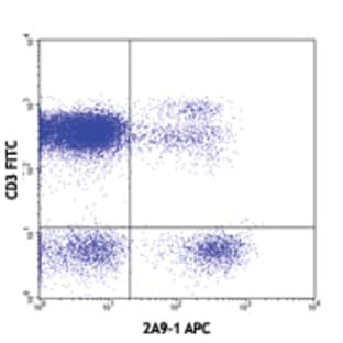 APC anti-human CX3CR1 avatar