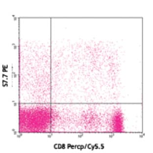 PE anti-human CD328 (Siglec-7) avatar