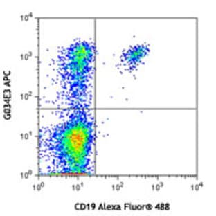 APC anti-human CD196 (CCR6) avatar