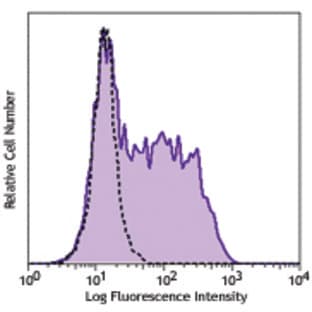 PE anti-human CD56 (Subset MSC Marker)