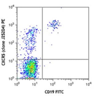 PE anti-human CD185 (CXCR5) avatar