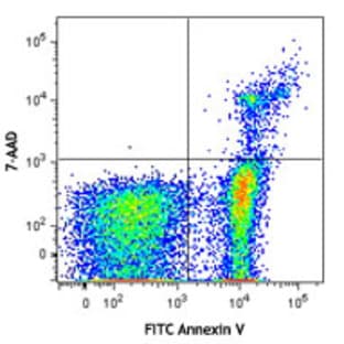 FITC Annexin V Apoptosis Detection Kit with 7-AAD avatar
