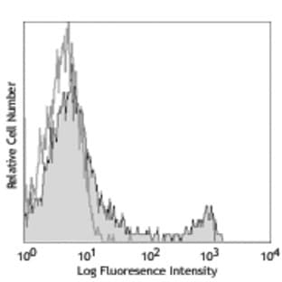 Purified anti-mouse CD8a avatar