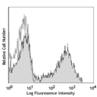 APC anti-mouse/human CD11b avatar