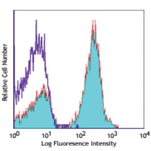 APC anti-mouse CD19 avatar