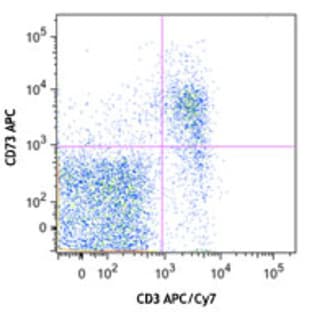 APC anti-mouse CD73 avatar