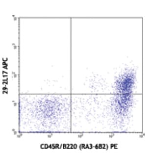 APC anti-mouse CD196 (CCR6) avatar