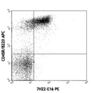 PE anti-mouse CD268 (BAFF-R)