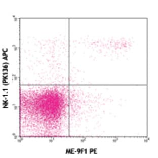 PE anti-mouse CD146 avatar