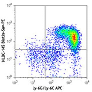 Biotin anti-mouse CD205 (DEC-205) avatar
