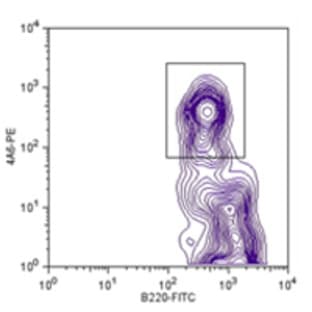 Purified anti-mouse PDC-TREM avatar